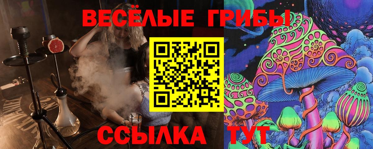 Псилоцибиновые грибы MAGIC MUSHROOMS Тулун