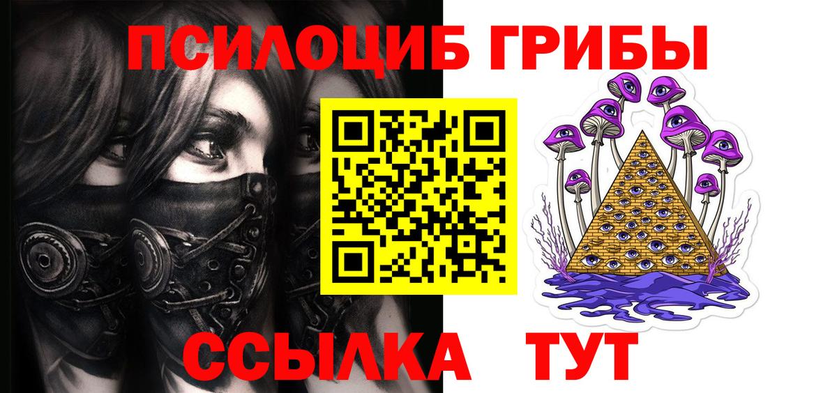 Псилоцибиновые грибы прущие грибы  Вход с VPN  Тулун 